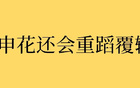 中超8輪后，申花成績(jī)穩(wěn)定20分，今年與去年對(duì)比，結(jié)果會(huì)否重演？