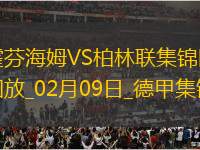 德甲-霍勒巴赫雙響柳比西奇替補建功柏林聯(lián)合客場4-0霍芬海姆