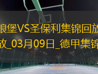 德甲-范德海登破門阿穆拉扳平沃爾夫斯堡1-1圣保利