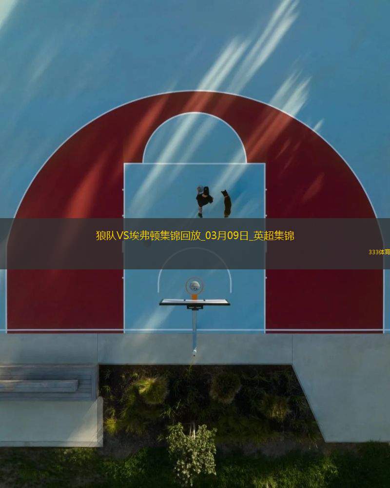 英超-哈里森破門穆涅西扳平狼隊1-1戰(zhàn)平埃弗頓