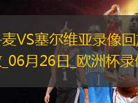 歐洲杯小組賽C組第3輪丹麥0-0塞爾維亞
