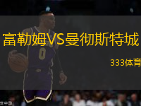 富勒姆VS曼徹斯特城