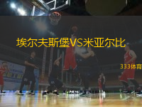 埃爾夫斯堡VS米亞爾比