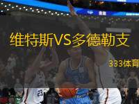 維特斯VS多德勒支