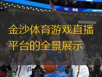 金沙體育游戲直播平臺(tái)的全景展示
