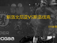 斯洛文尼亞VS斯洛伐克