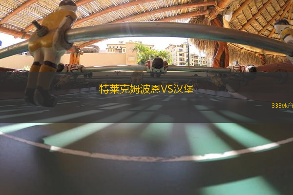 特萊克姆波恩VS漢堡