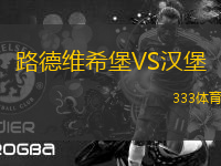 路德維希堡VS漢堡